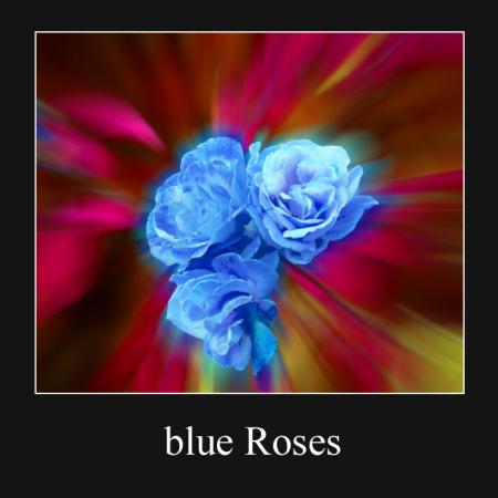 les couleurs2 la passion