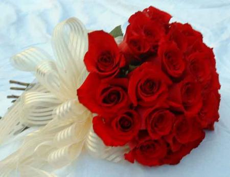 la rose de la tendresse